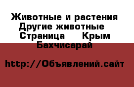 Животные и растения Другие животные - Страница 3 . Крым,Бахчисарай